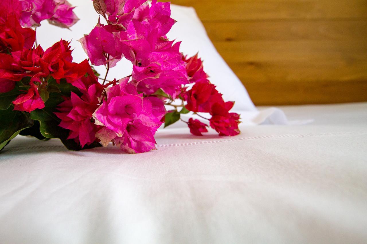 Aparthotel Bitacora